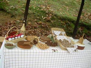 Raccolta castagne