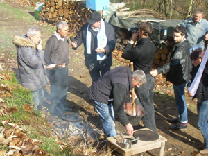 Raccolta castagne