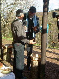 Raccolta castagne