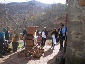 Raccolta castagne