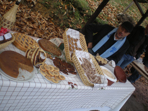 Raccolta castagne