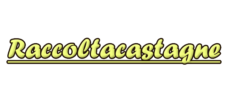 Raccolta castagne 2012