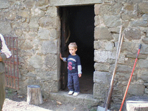 animazione